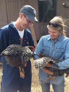 Choose Sustainably-Raised Poultry Image
